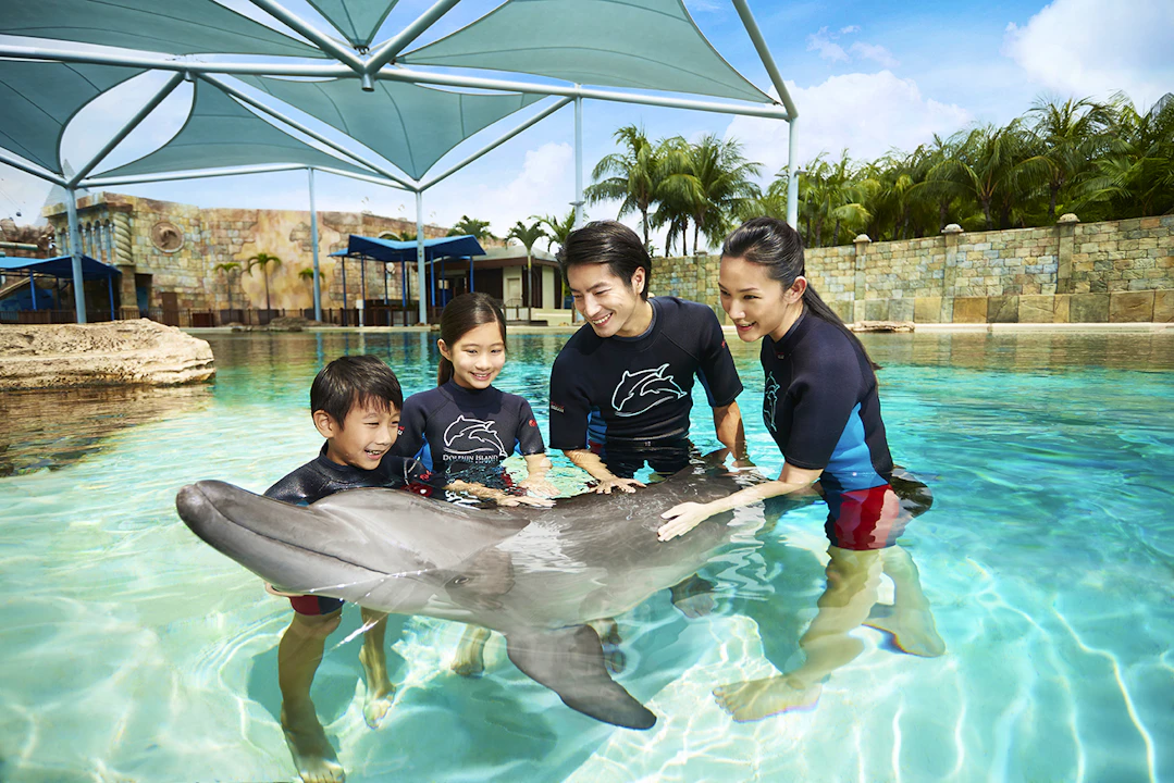 Dolphin Island Singapore Tickets Ticket